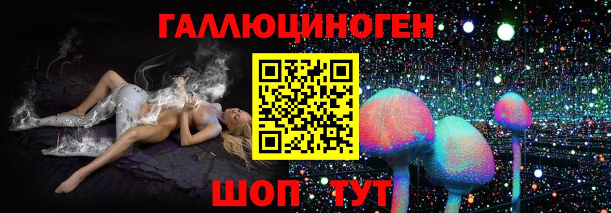 Псилоцибиновые грибы MAGIC MUSHROOMS  Вход с VPN  Тосно 