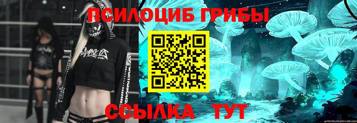 Галлюциногенные грибы Magic Shrooms Тосно